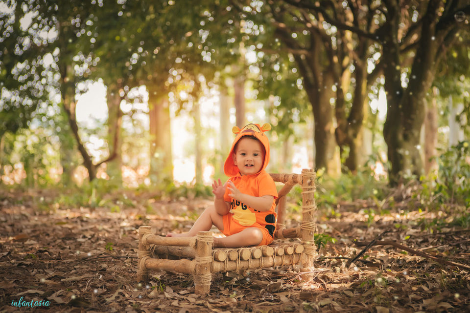 Acompanhamento Mensal - Arthur 1 ano