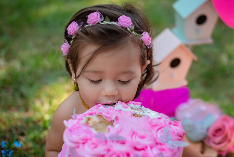 Acompanhamento Mensal - Valentina 1 ano