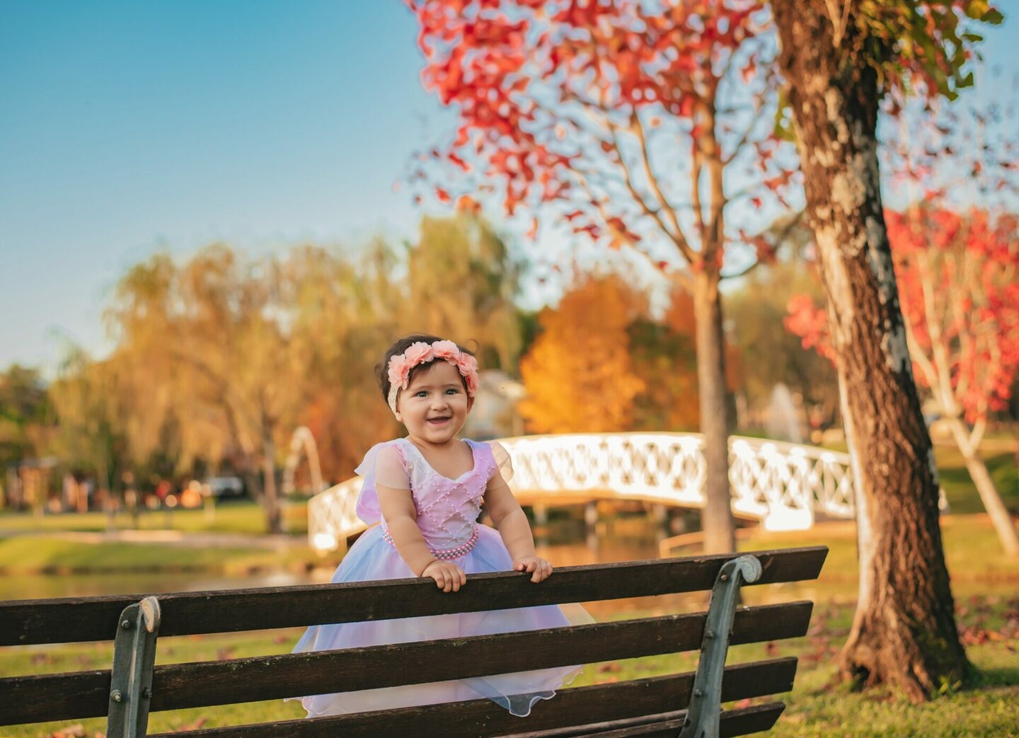 Acompanhamento Mensal - Sophia 1 ano