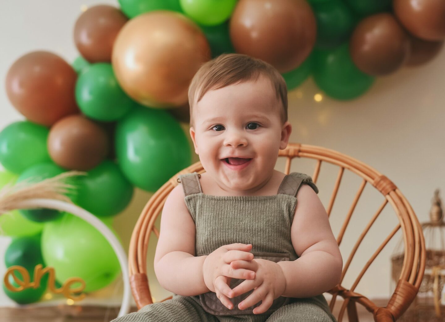 Acompanhamento Mensal - Miguel Felipe 1 ano